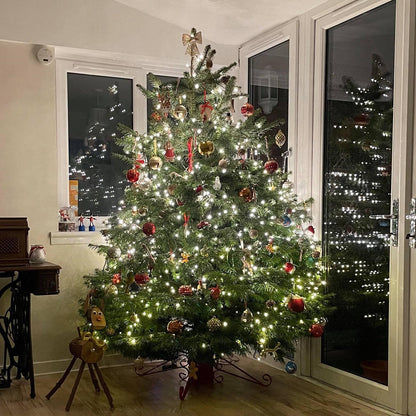 Fraser Fir Christmas Tree