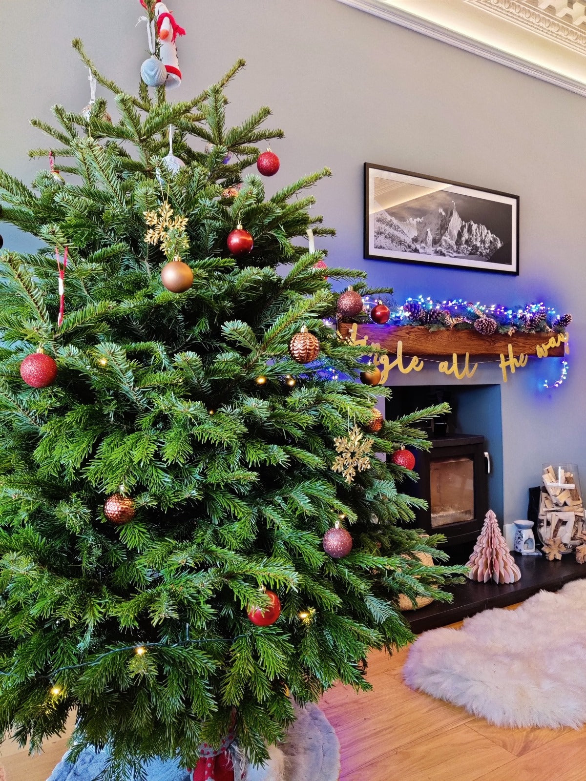 Fraser Fir Christmas Tree